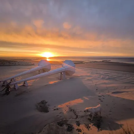 Maxent Aan Zee ミデルケルケ