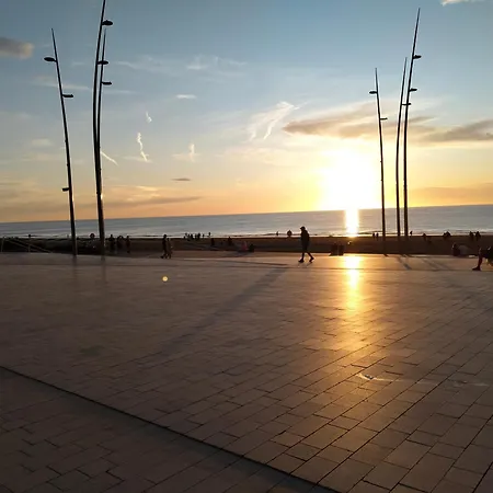 Maxent Aan Zee Ferienhaus