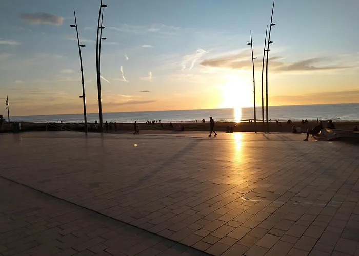 Maxent Aan Zee Ferienhaus